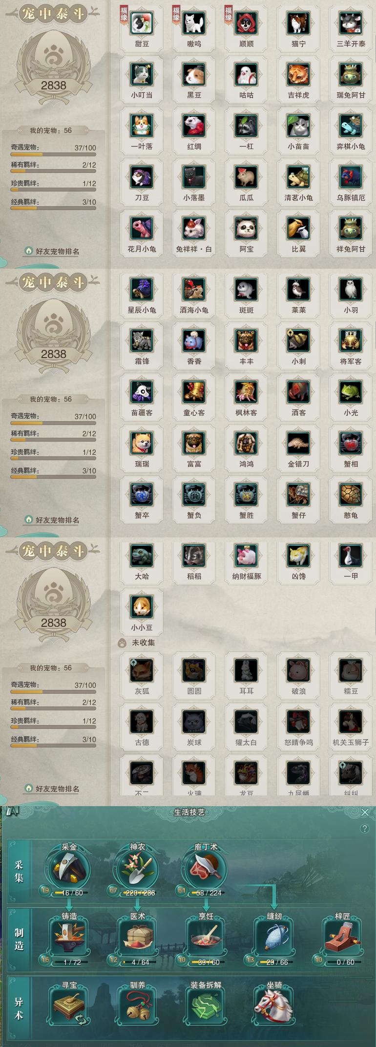 12-宠物生活技能.jpg